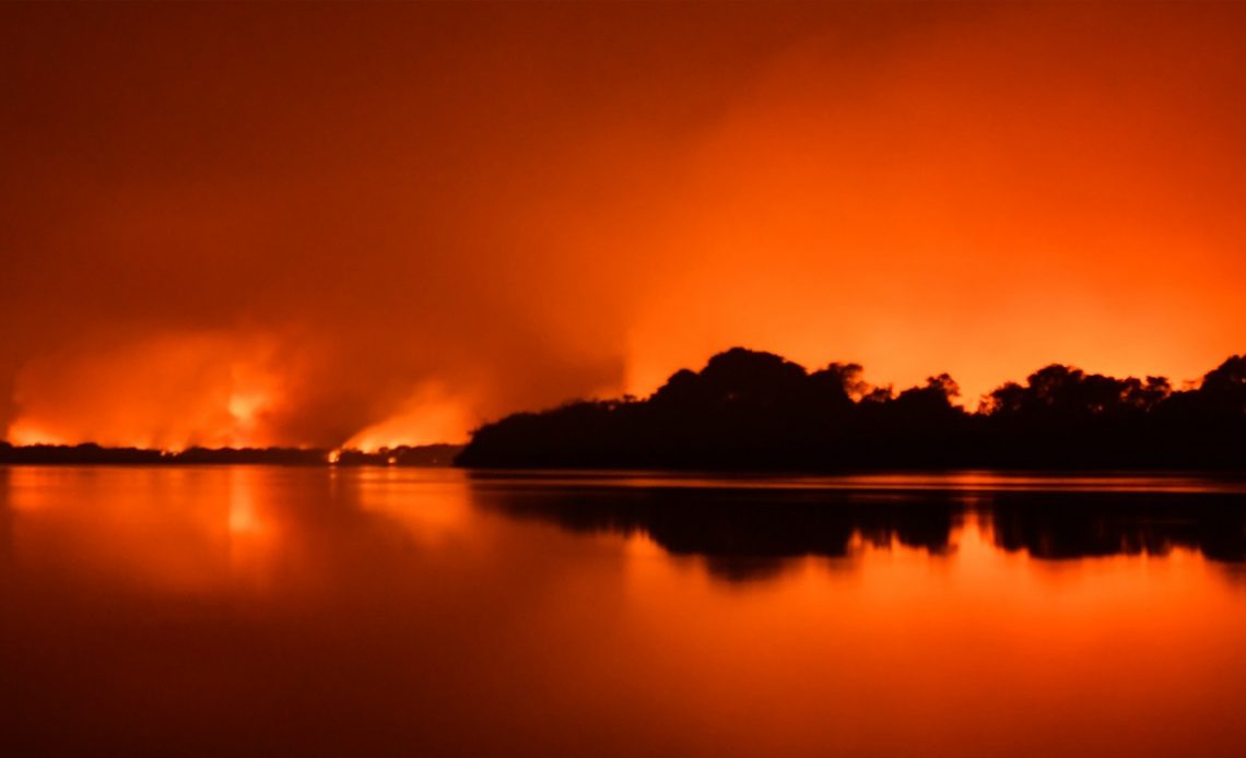 Pantanal em chamas