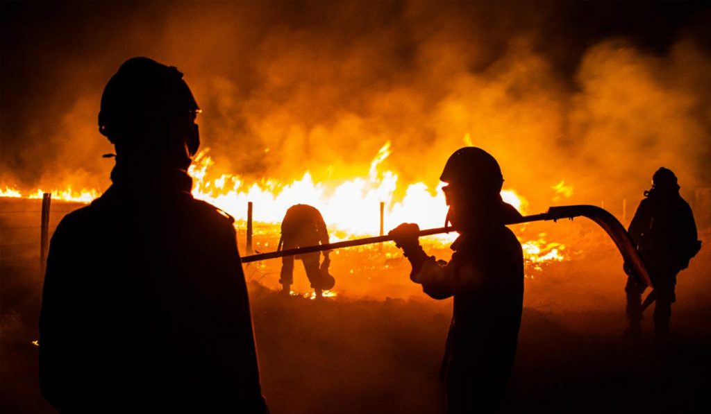 Brigadistas lutando contra o fogo no pantanal