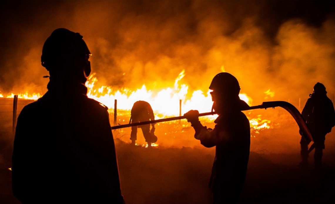 Brigadistas lutando contra o fogo no pantanal