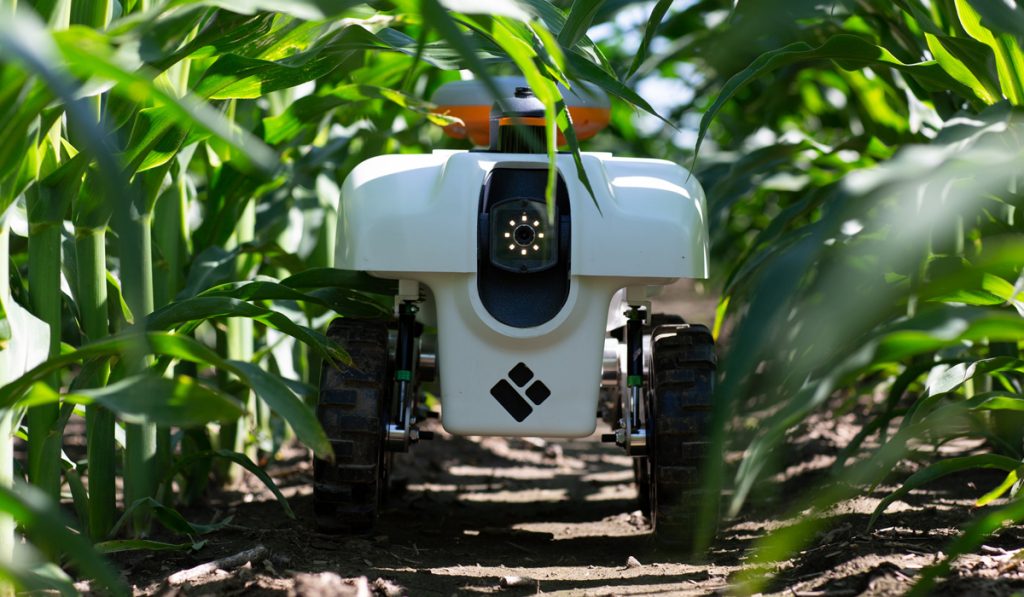 Robot compacto em lavoura de milho