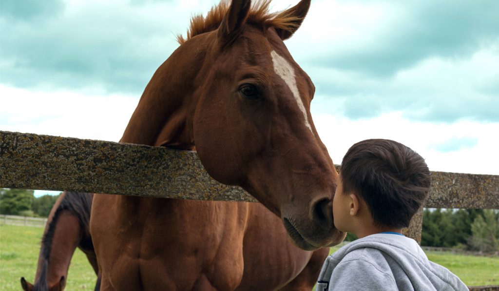 Jovem fazendo carinho no cavalo