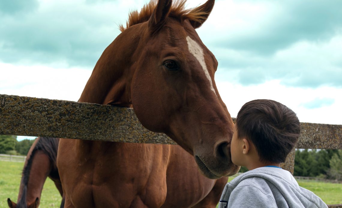 Jovem fazendo carinho no cavalo