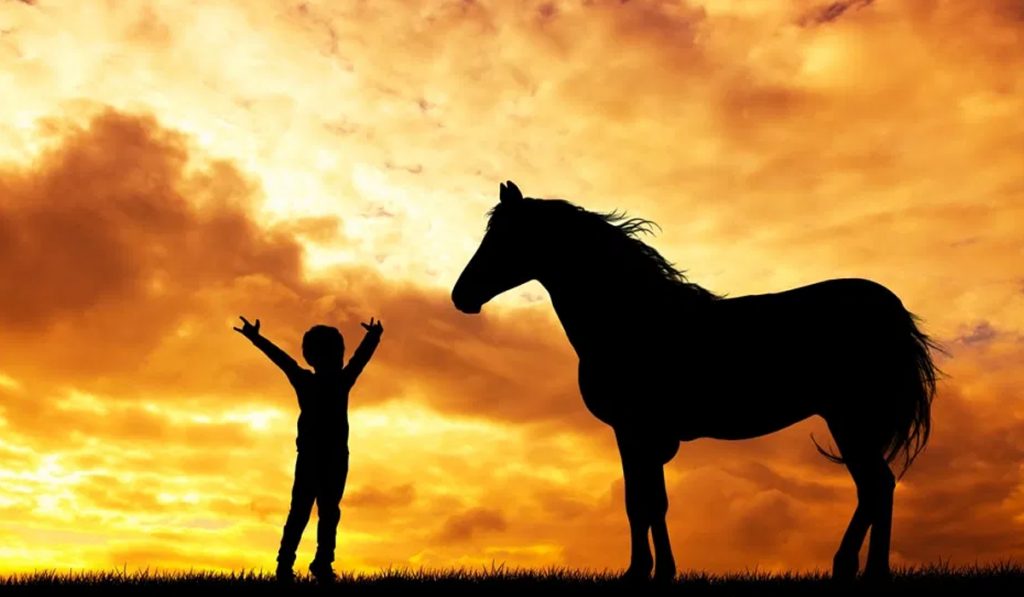 Criança com cavalo e por do sol ao fundo