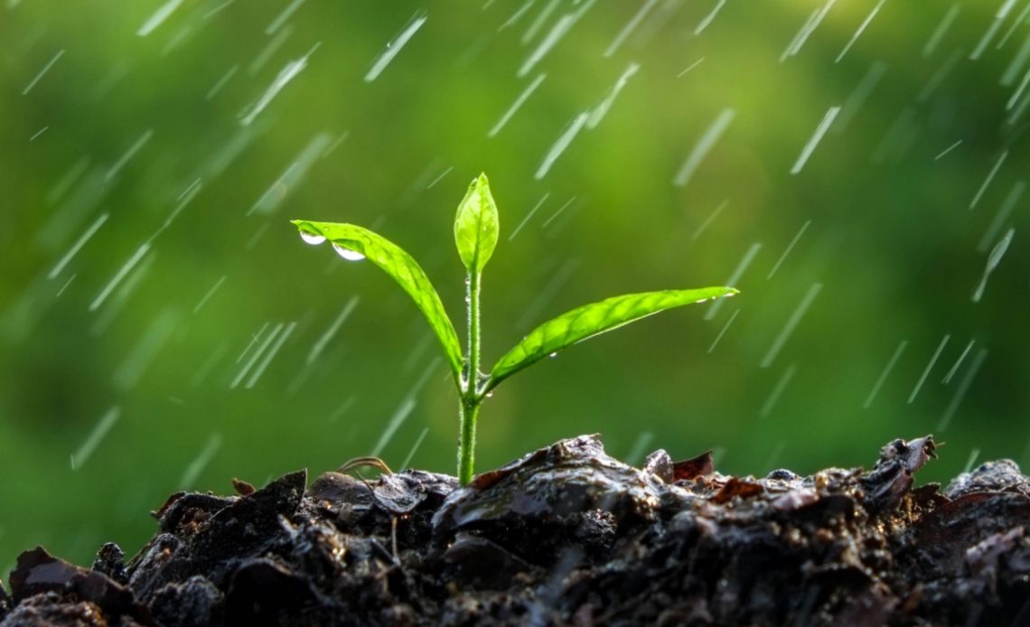 Terra sendo molhada pela chuva