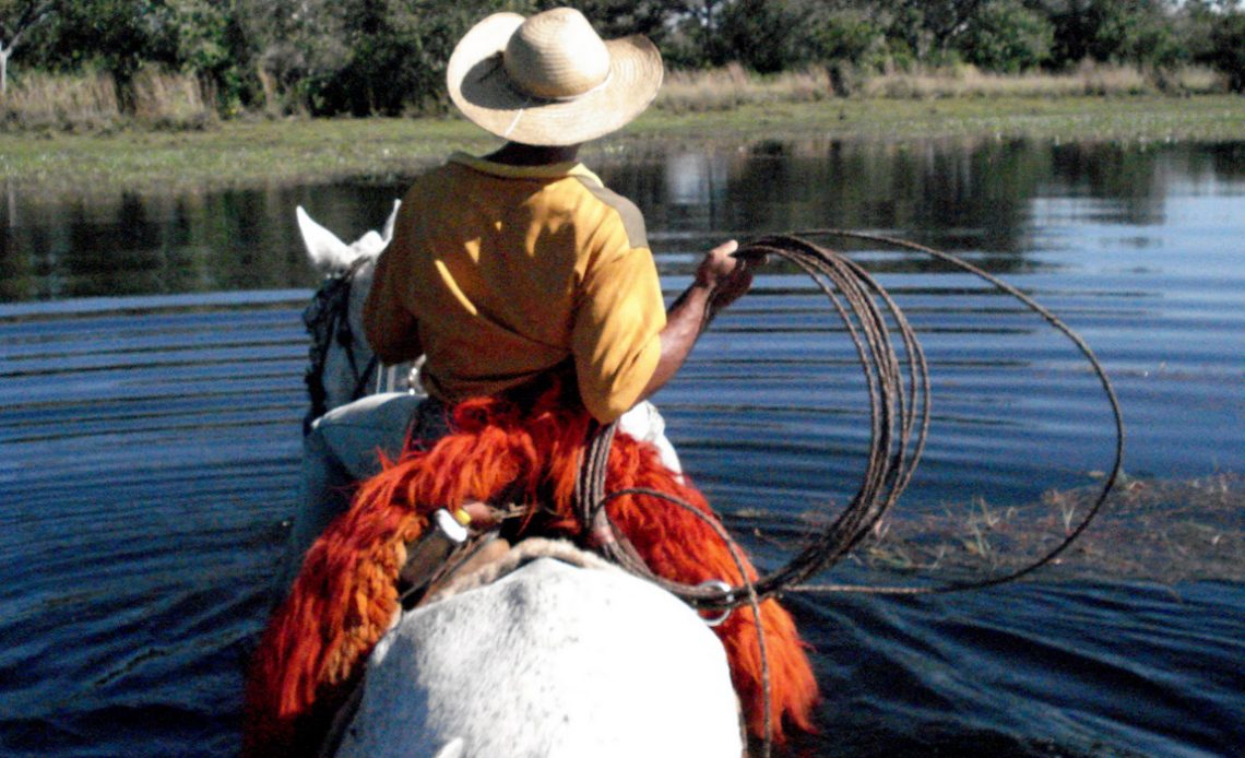 Homem pantaneiro no seu cavalo