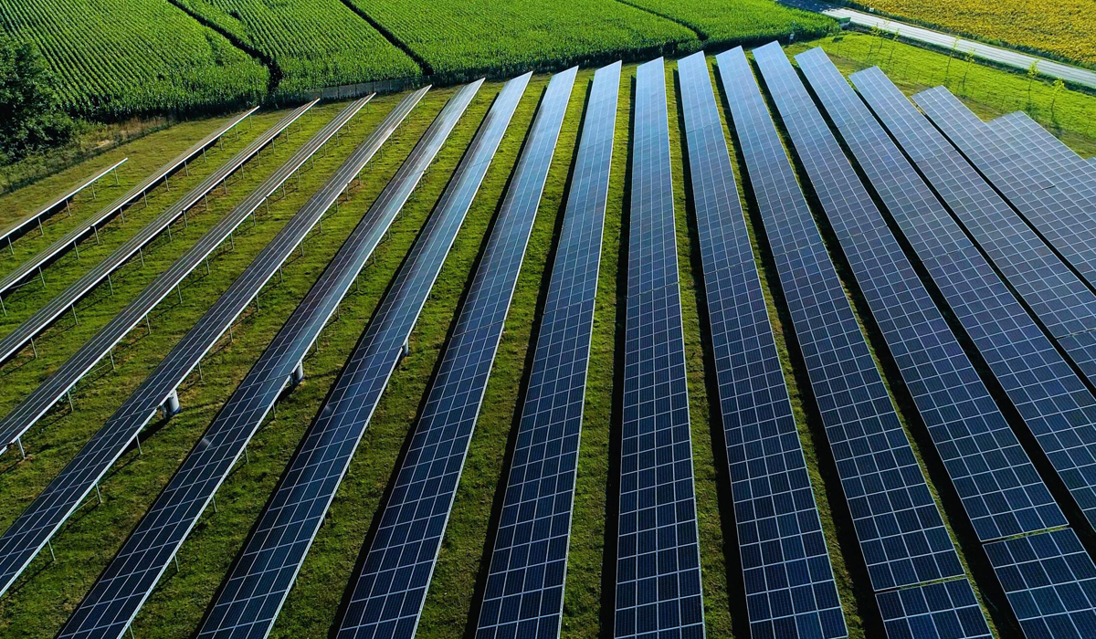 A primeira unidade do mundo a alcançar a autossuficiência com energia solar em Holambra/SP