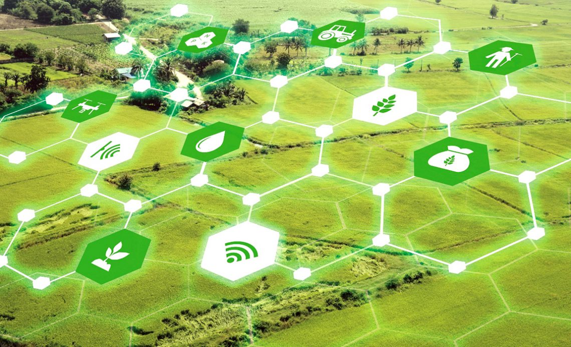 Vista aérea de uma fazenda com conectividade nas diversas áreas da operação