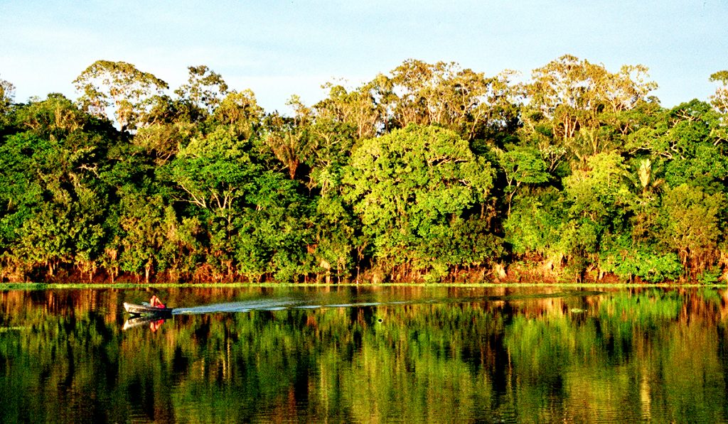 Ribeirinho navegando em um rio amazônico