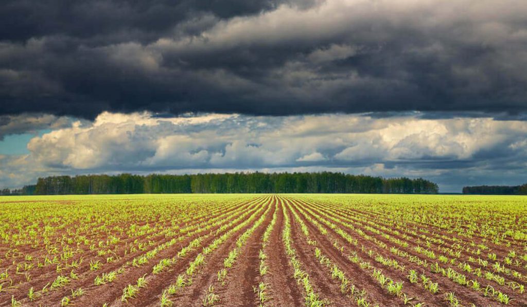 Lavoura sob o efeito das mudanças climáticas