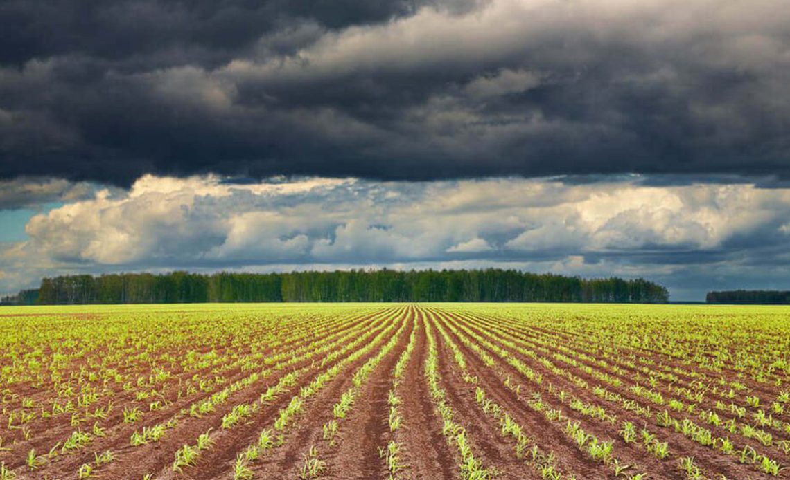 Lavoura sob o efeito das mudanças climáticas