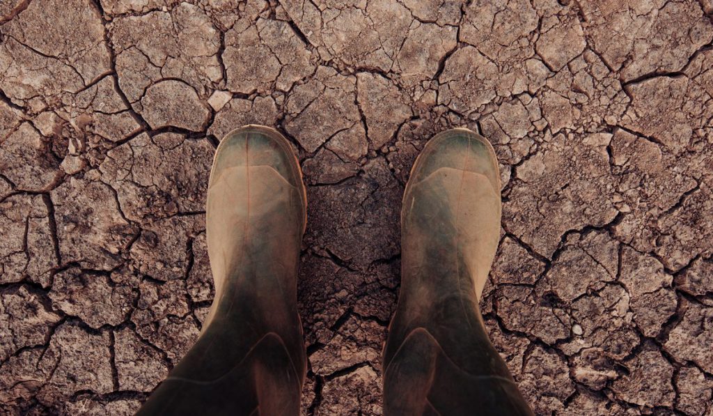 Agricultor pisando com suas botas de borracha sobre o solo esturricado