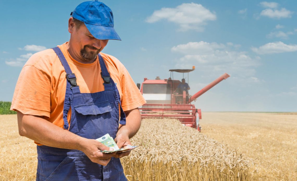 Produtor rural contando o dinheiro recebido do crédito rural