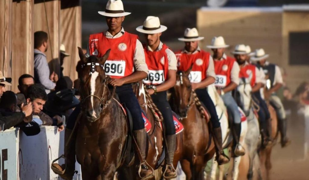 Cavalos se apresentando na Expo do Mangalarga Marchador