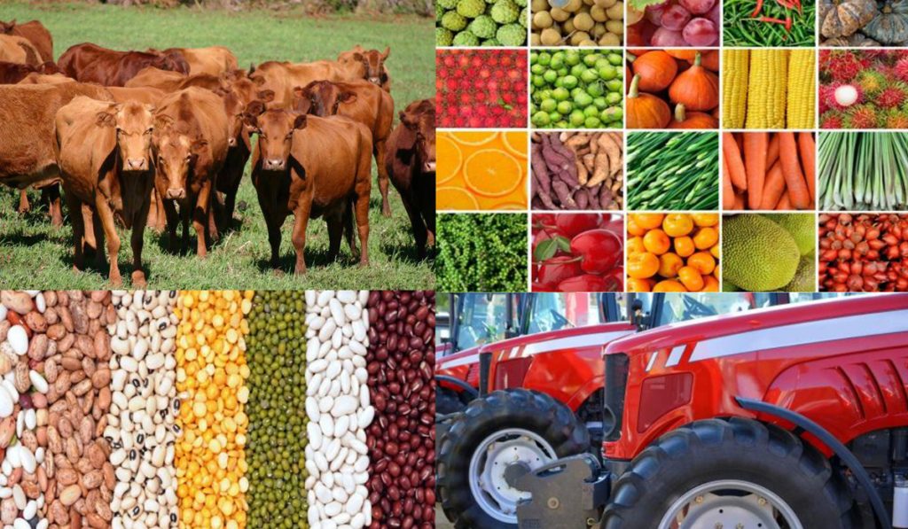 Os diversos produtos do agronegócio