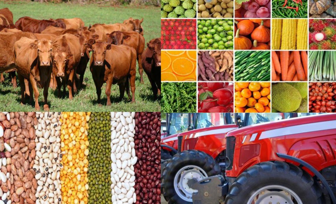 Os diversos produtos do agronegócio