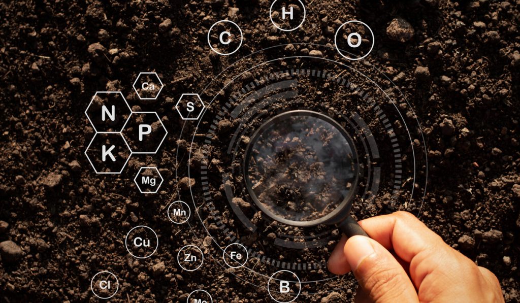 Técnico analisando o solo com lupa para ver macro e micro elementos