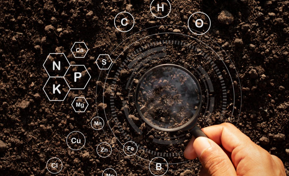 Técnico analisando o solo com lupa para ver macro e micro elementos