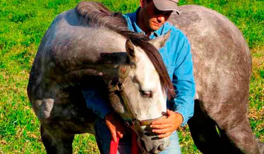 Proprietário e seu amigo equino