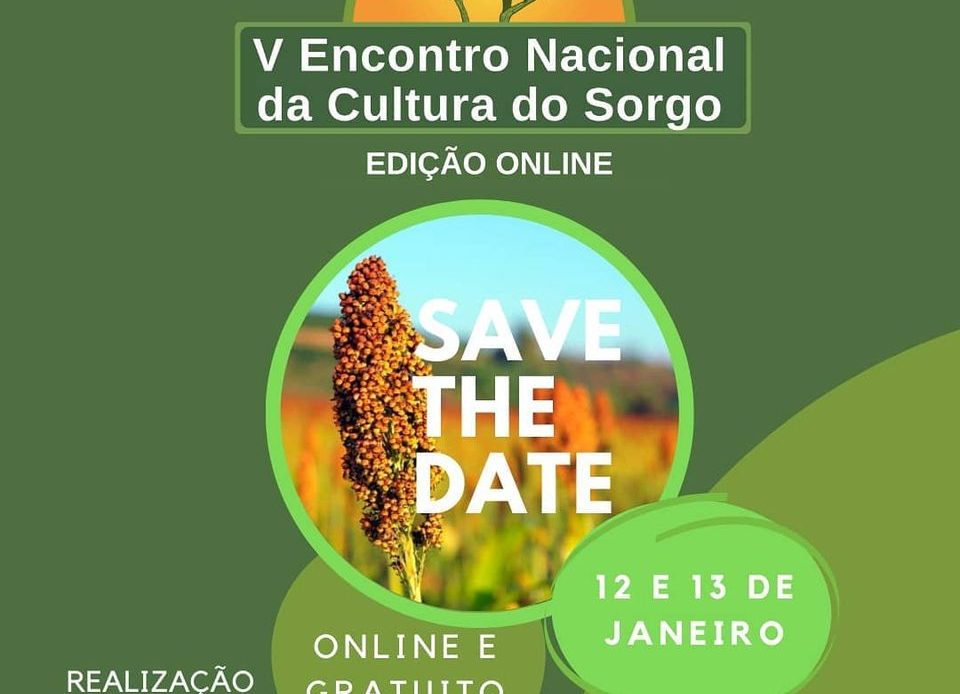 Chamada do V Encontro Nacional da Cultura do Sorgo