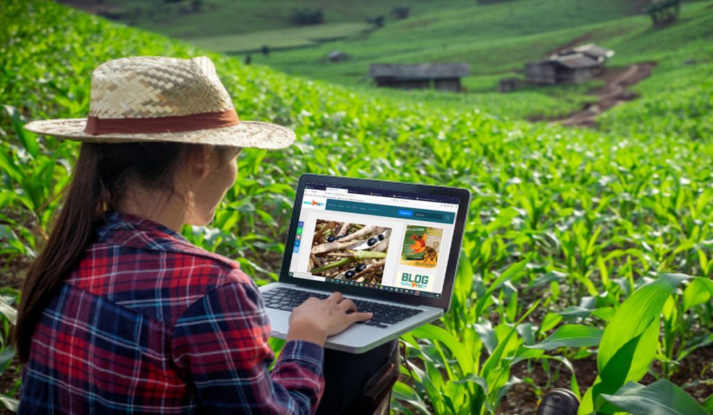 Produtora rural acessando a internet com laptop na página da RuraltecTV