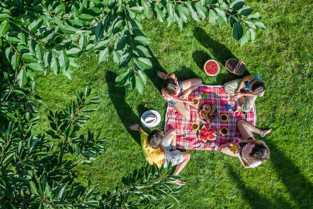 Pessoas num piquenique - vista aérea (drone)