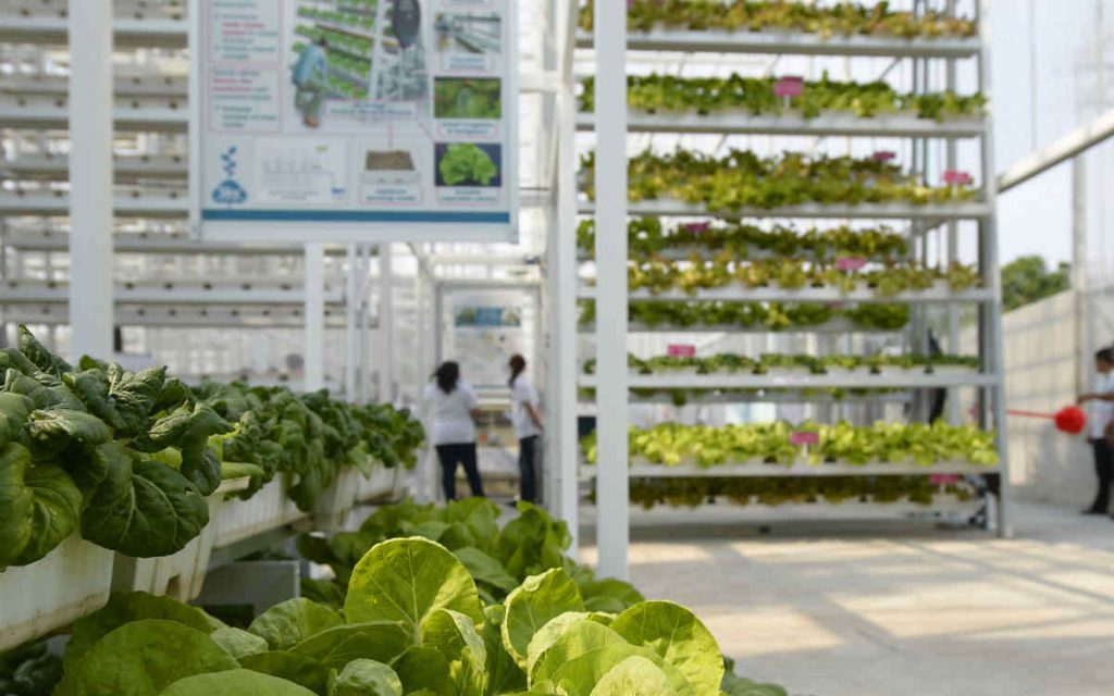 Fazenda vertical em Singapura