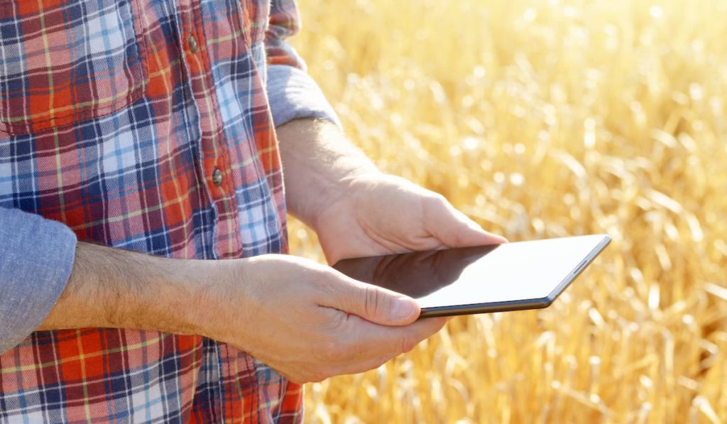 Agricultor na lavoura utilizando seu tablet para se conectar