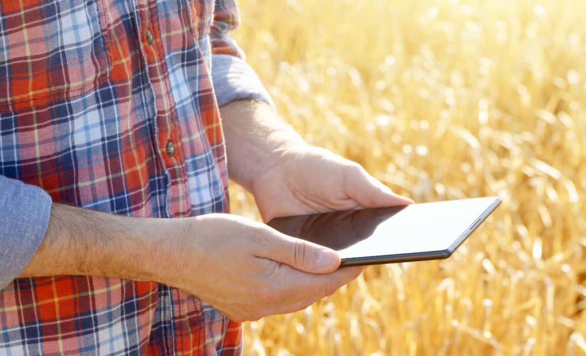 Agricultor na lavoura utilizando seu tablet para se conectar