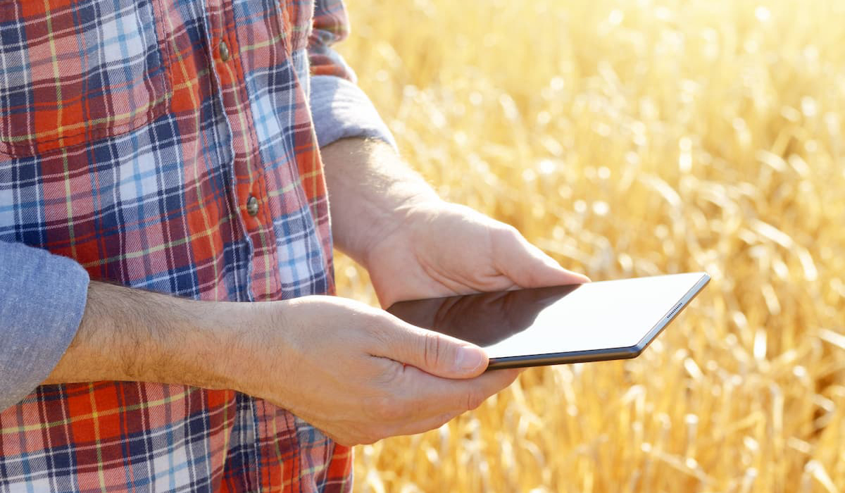 Agricultor na lavoura utilizando seu tablet para se conectar