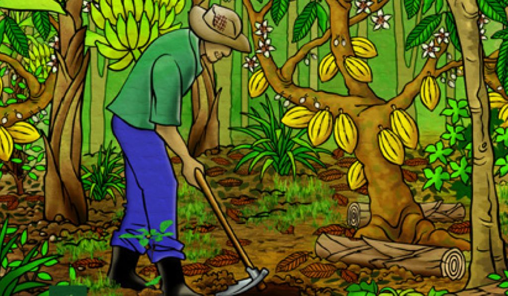 Ilustração de um agricultor trabalhando numa agrofloresta