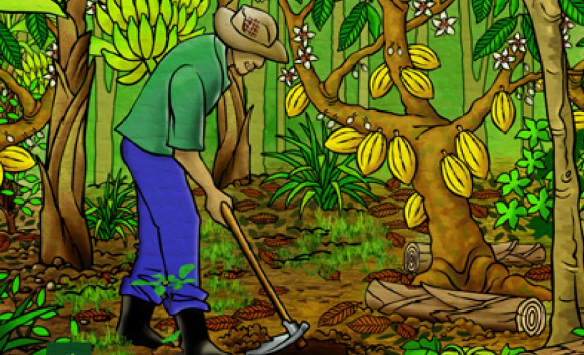 Ilustração de um agricultor trabalhando numa agrofloresta