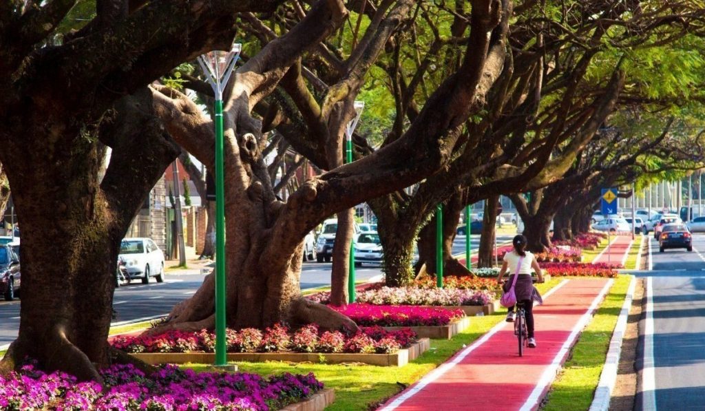 Arborização de área urbana com ciclovia