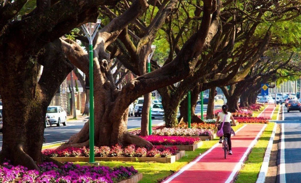 Arborização de área urbana com ciclovia