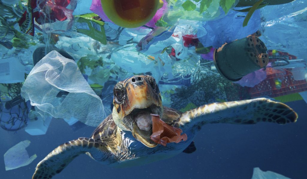 Tartaruga nadando no meio do lixo flutuante no oceano
