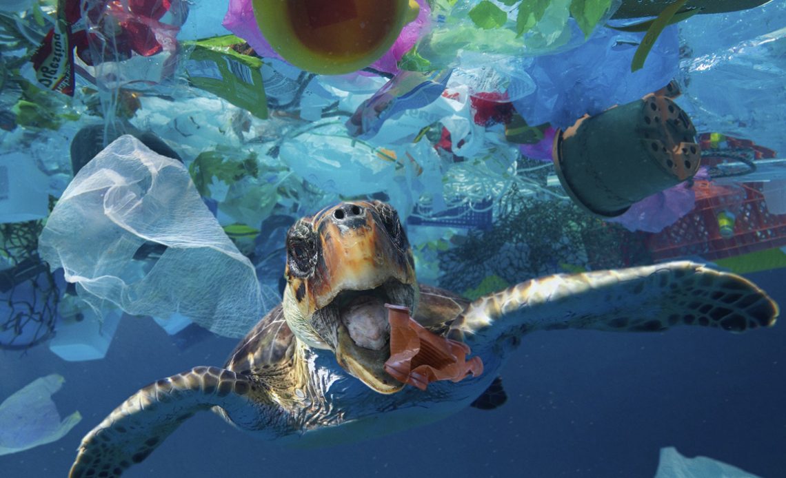 Tartaruga nadando no meio do lixo flutuante no oceano