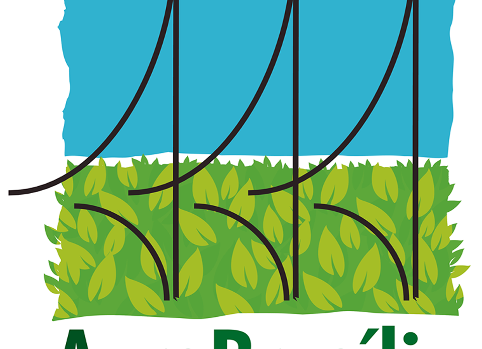 Logo da AgroBrasília