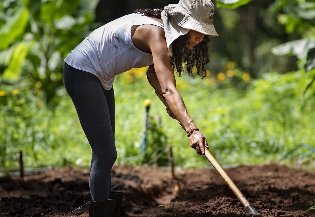 Produtora rural trabalhando em sua horta