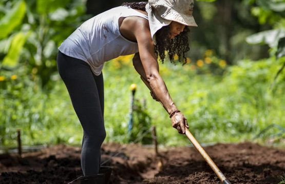 Produtora rural trabalhando em sua horta