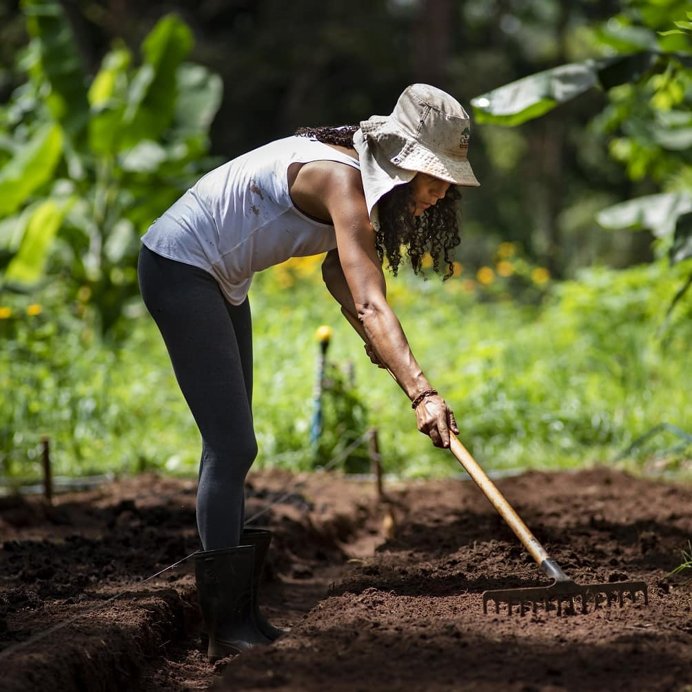 Produtora rural trabalhando em sua horta