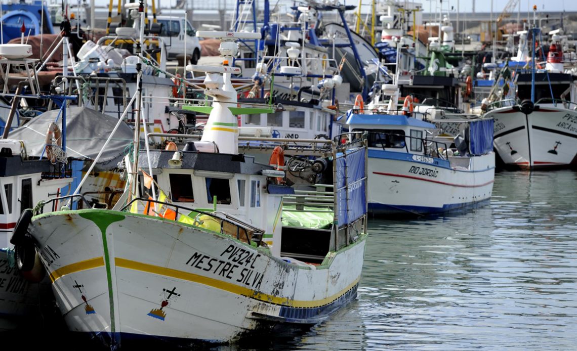 Barcos pesqueiros no cais