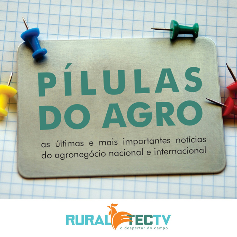Pílulas do Agro RuraltecTV - 06-01-2021