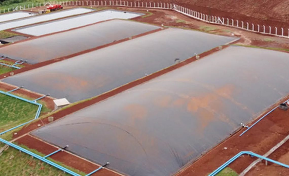 Sistema de produção de biogás a partir de dejetos da suinocultura