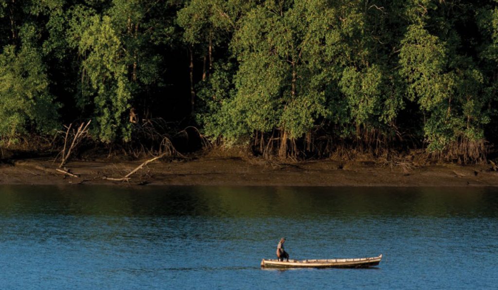 Pescador artesanal com seu barco costeando o manguezal