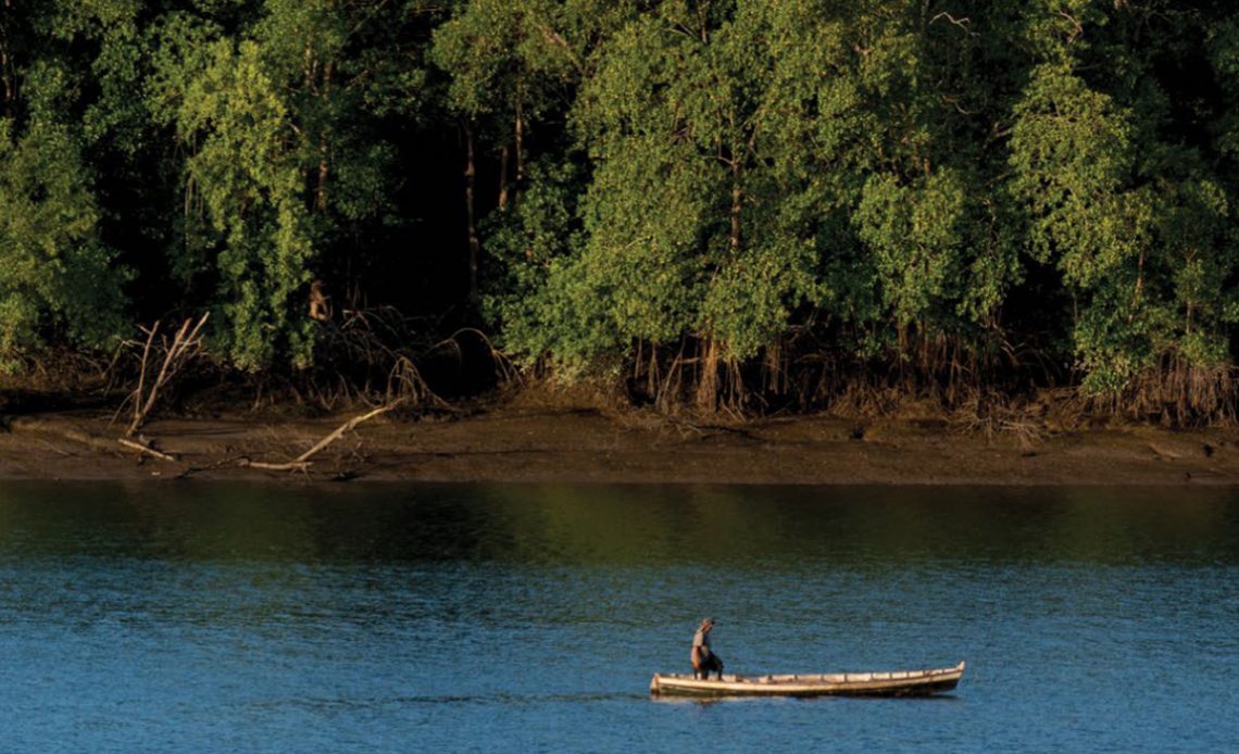 Pescador artesanal com seu barco costeando o manguezal