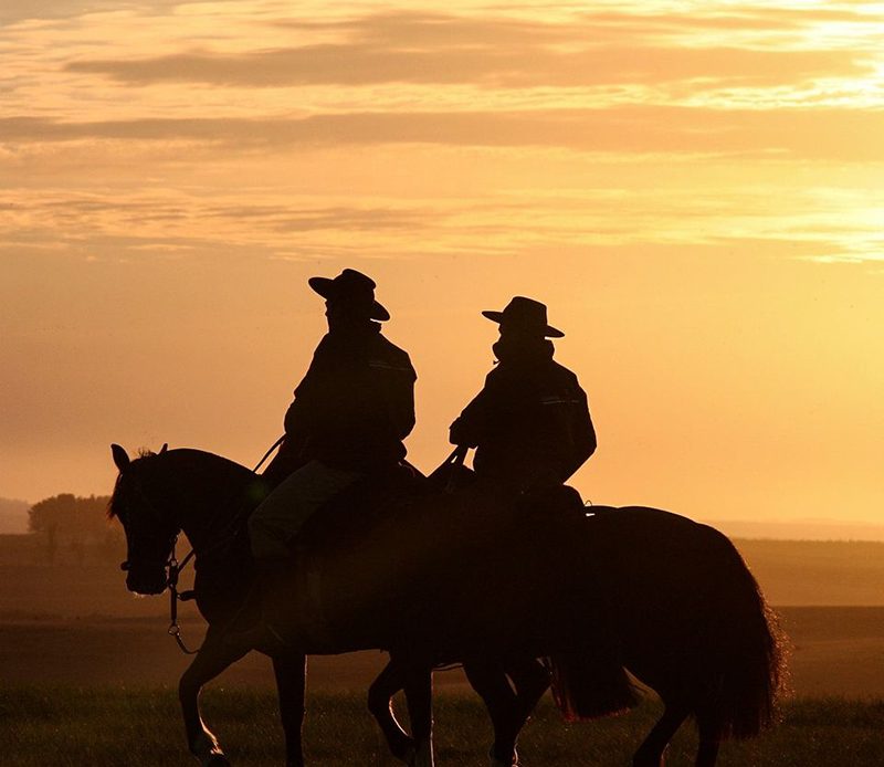 Gaúchos montados em seus cavalos crioulos no por do sol