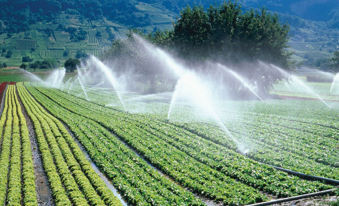 Vista aérea de uma área de cultivo com sistema de irrigação por aspersão em operação