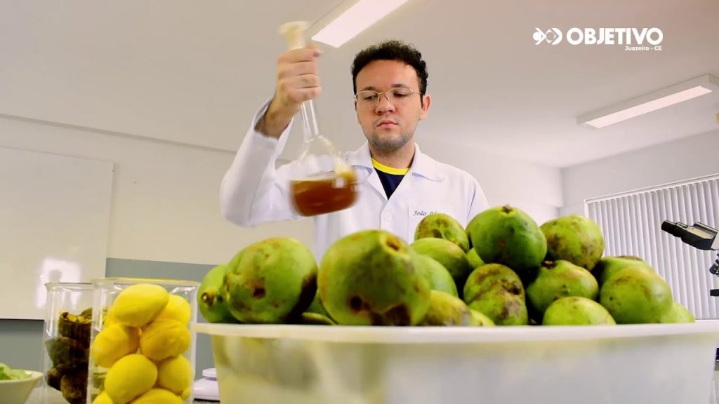 Estudante cria pesticida natural a partir de casca de pequi