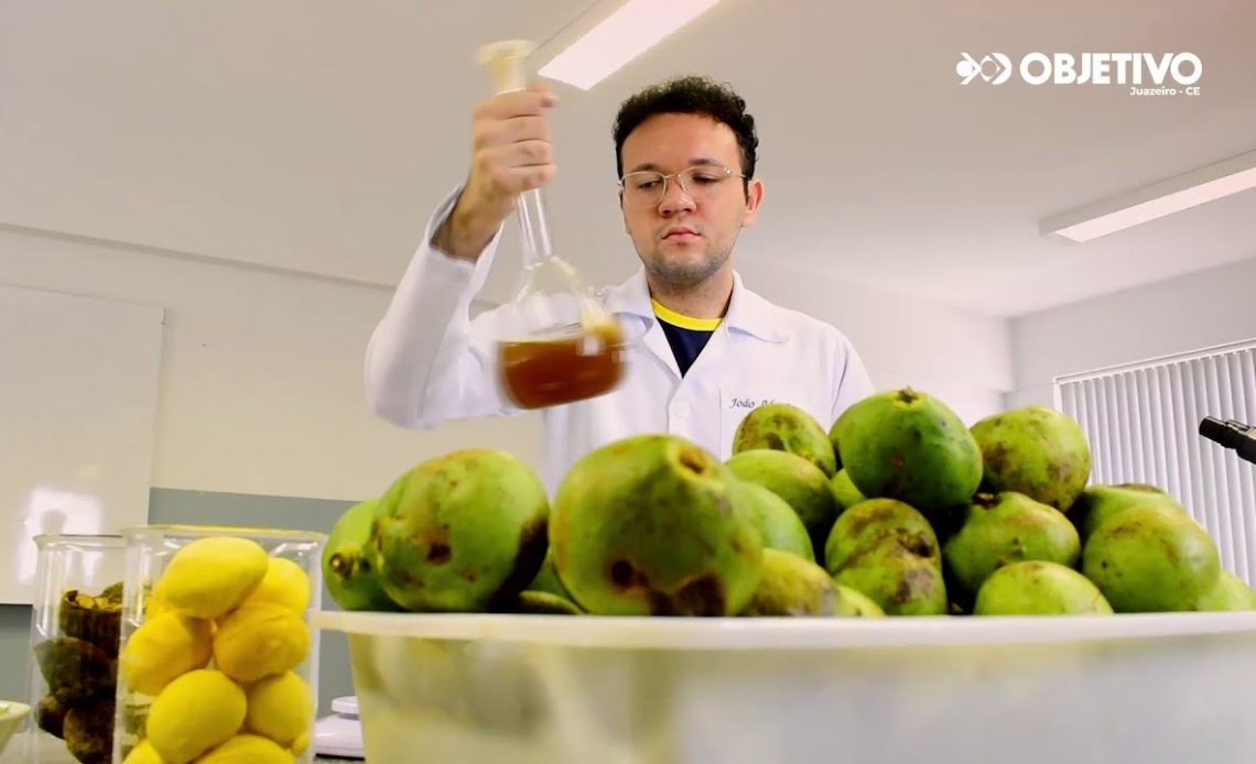 Estudante cria pesticida natural a partir de casca de pequi