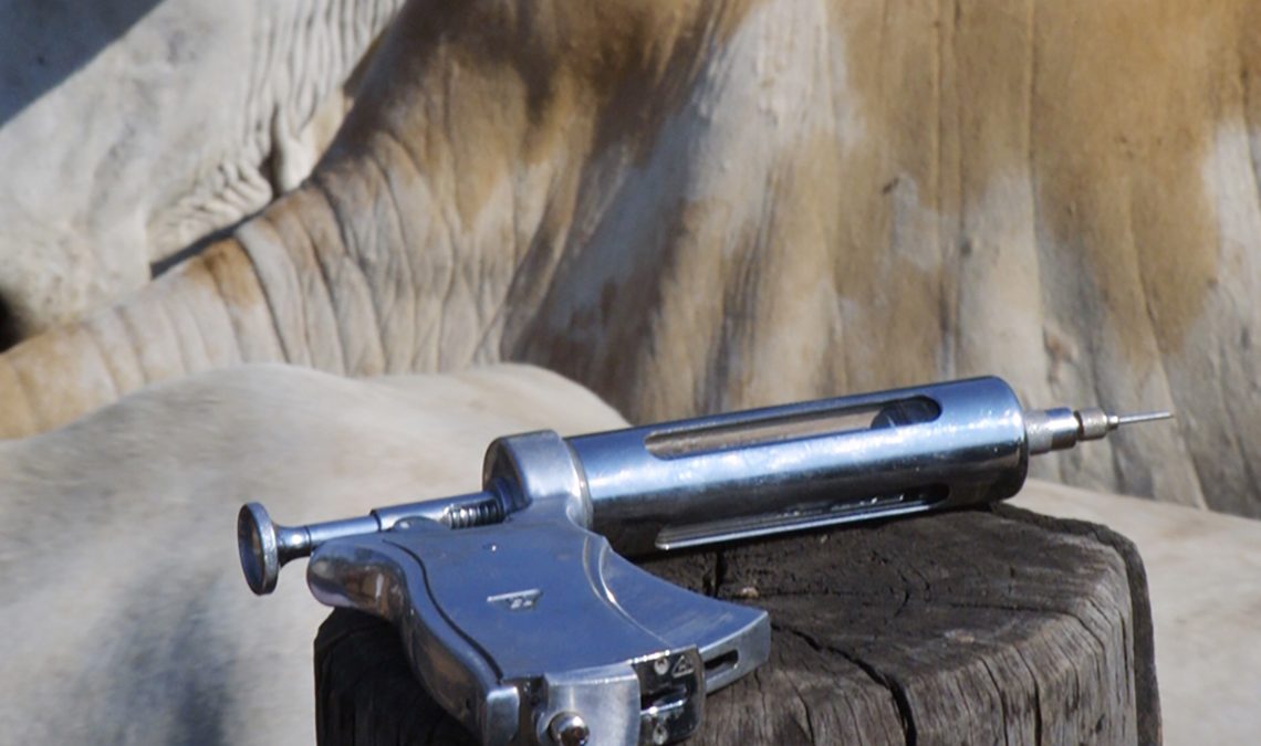 Pistola de vacinação apoiada no moirão com gado ao fundo
