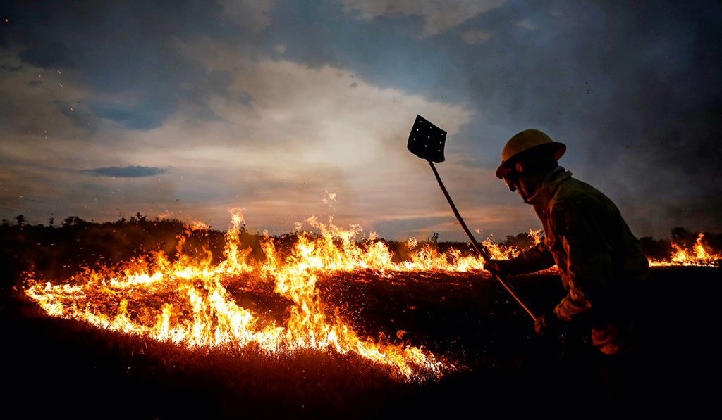 Membro da brigada de incêndio florestal em operação de combate ao fogo